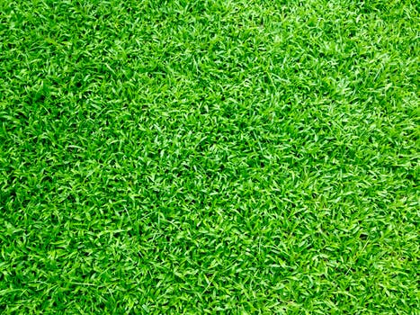 artificial grass in Adelaide